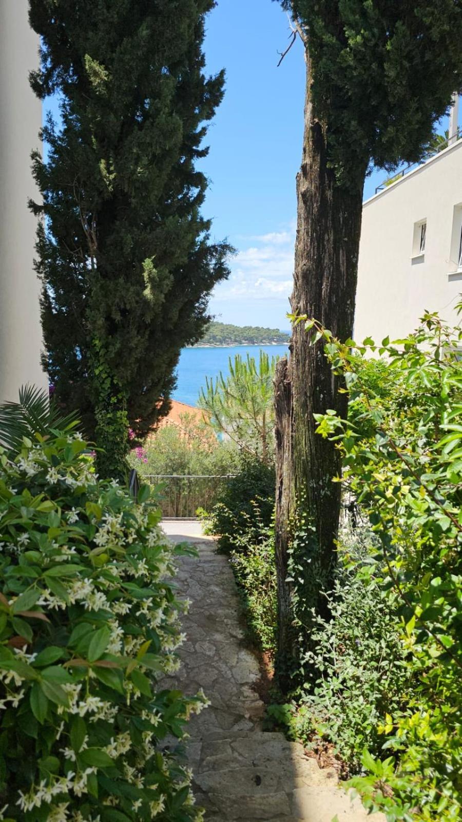 Residence Alpha Apartments Cavtat Exterior photo