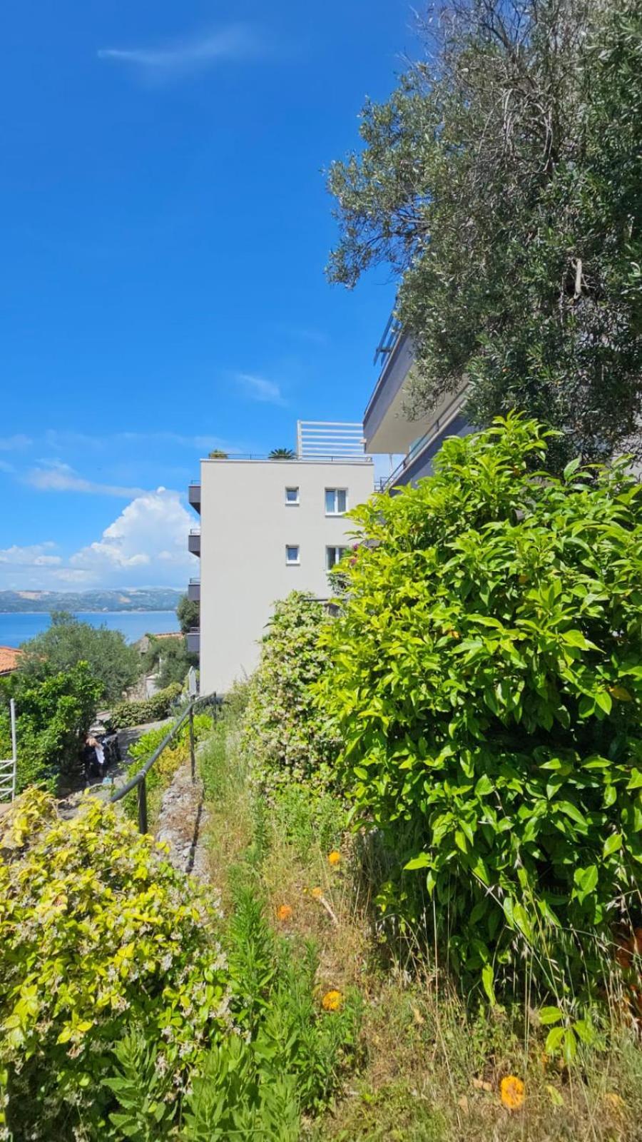Residence Alpha Apartments Cavtat Exterior photo